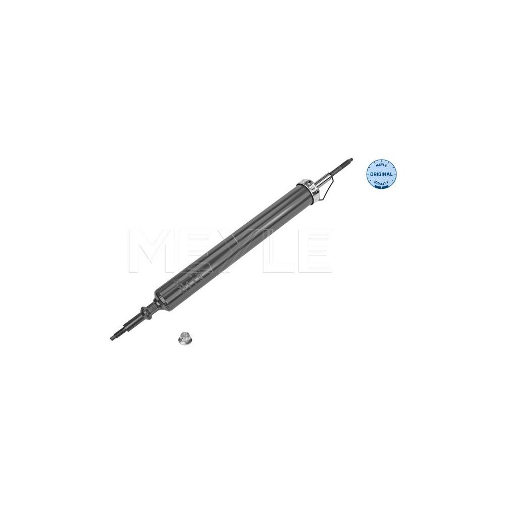 Meyle Stoßdämpfer (Ersatz) Meyle Stoßdämpfer für BMW X1 Typ E84 (X1, X-N1, X1-N1) 