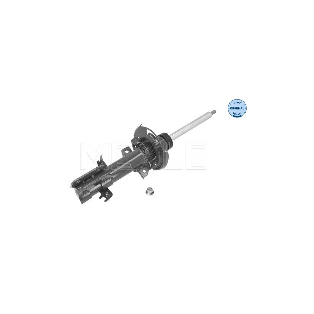 Meyle Stoßdämpfer (Ersatz) Meyle Stoßdämpfer für Ford Fiesta VIII (2017-) 
