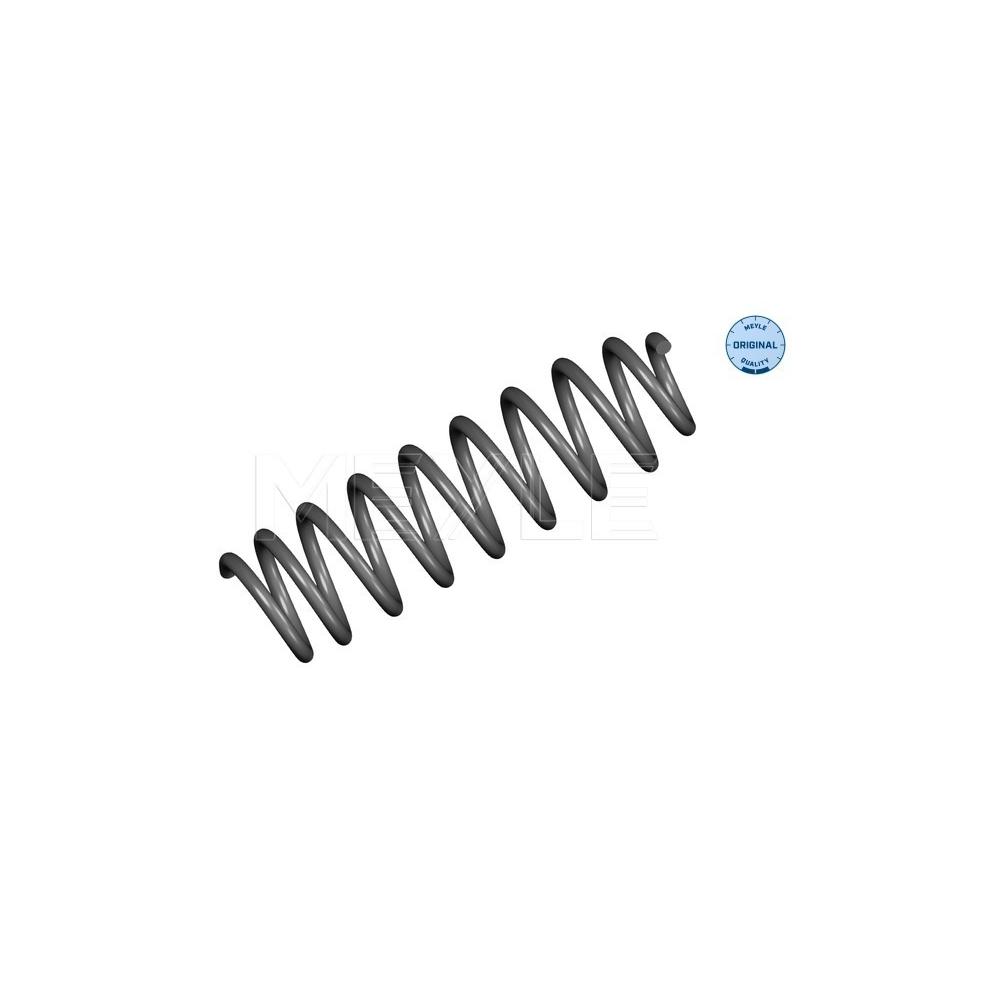 Meyle Federn (Ersatz) Meyle Federn für Mercedes M-Klasse Typ W164 