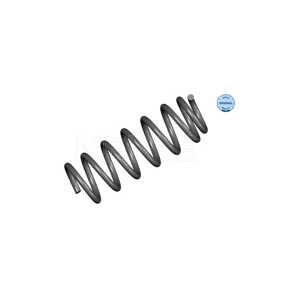 Meyle Federn (Ersatz) Meyle Federn für BMW X5 Typ E70 (X70, X5, X-N1) 