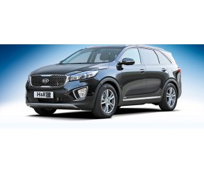 H&R Tieferlegungsfedern Sportfedernsätze für Kia Sorento III Typ UM 