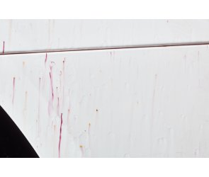 Sonax Pflegeprodukte FlugrostEntferner für   