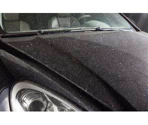 Sonax Pflegeprodukte GlanzShampoo Konzentrat für   
