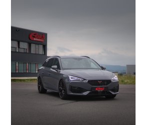 gepfeffert.com - The Original - Static Seat Leon 5F Cupra with