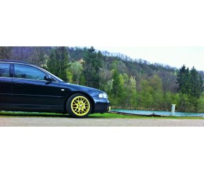 Eibach Tieferlegungsfedern Sportline für Audi A4 Typ 8D5/B5 (Avant) 